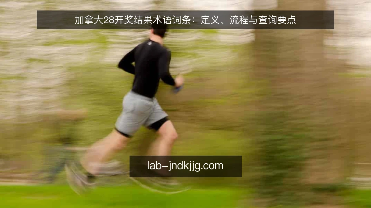 加拿大28开奖结果术语词条：定义、流程与查询要点