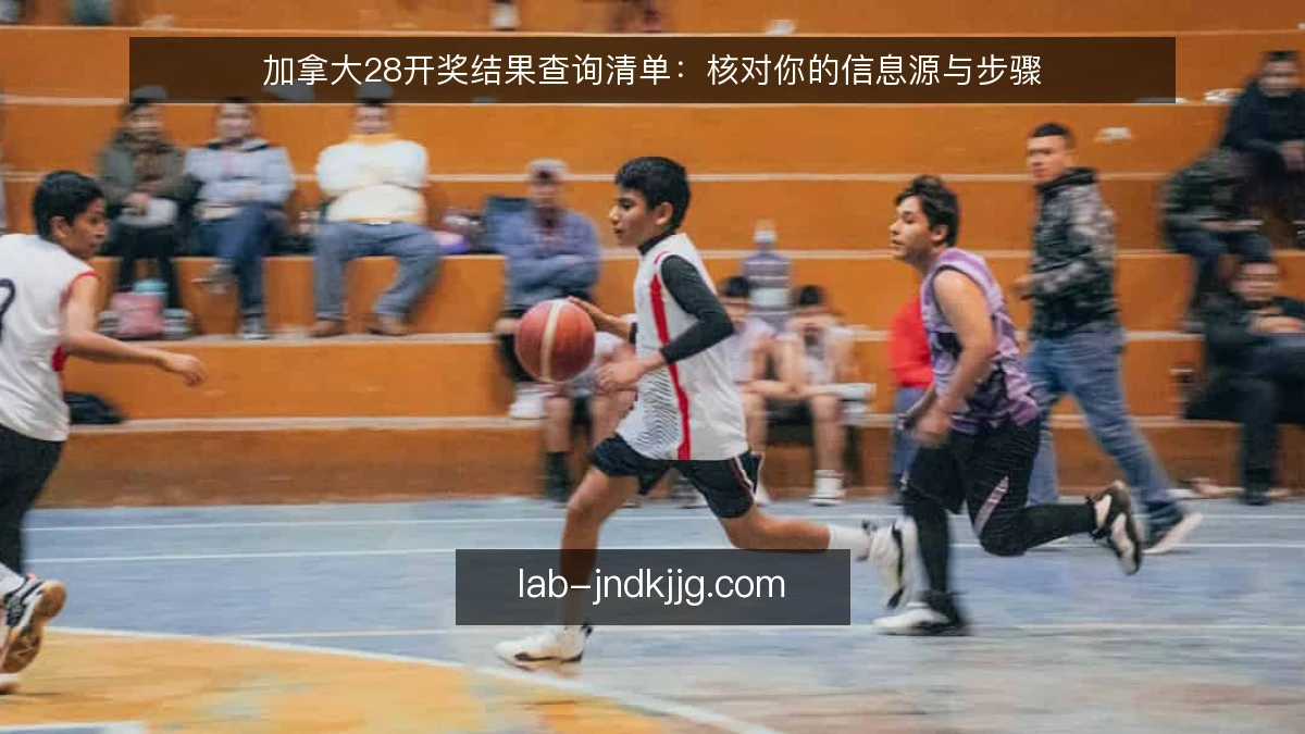 加拿大28开奖结果查询清单:核对你的信息源与步骤