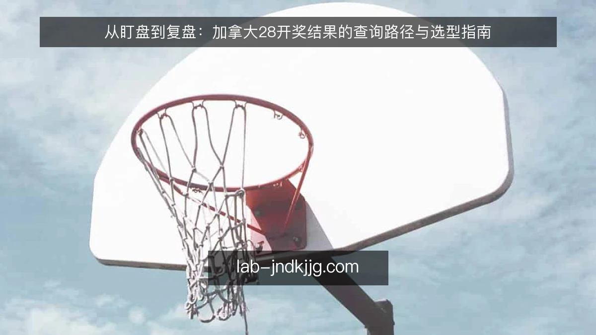 从盯盘到复盘：加拿大28开奖结果的查询路径与选型指南