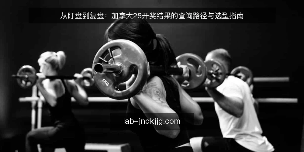 从盯盘到复盘：加拿大28开奖结果的查询路径与选型指南 — 查询路径的起点：明确你的使用场景 配图