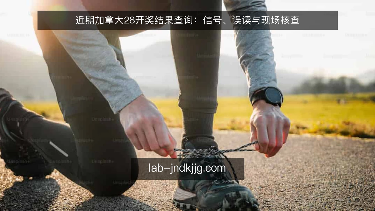 近期加拿大28开奖结果查询：信号、误读与现场核查