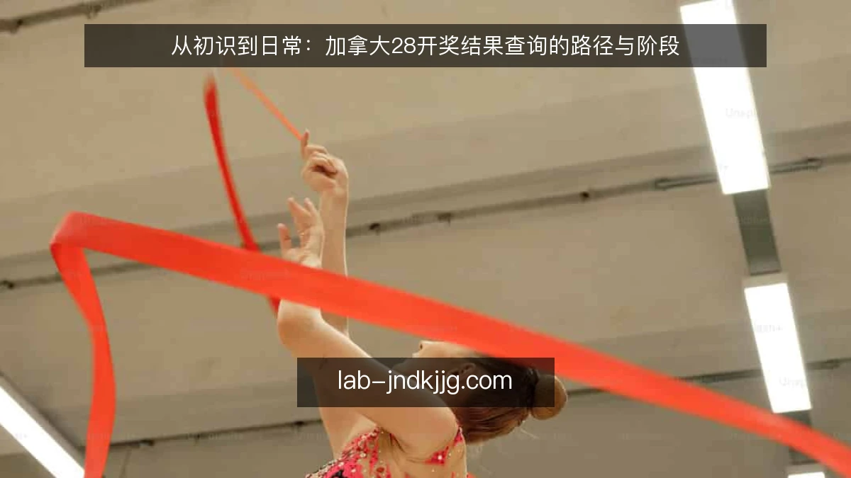 从初识到日常:加拿大28开奖结果查询的路径与阶段
