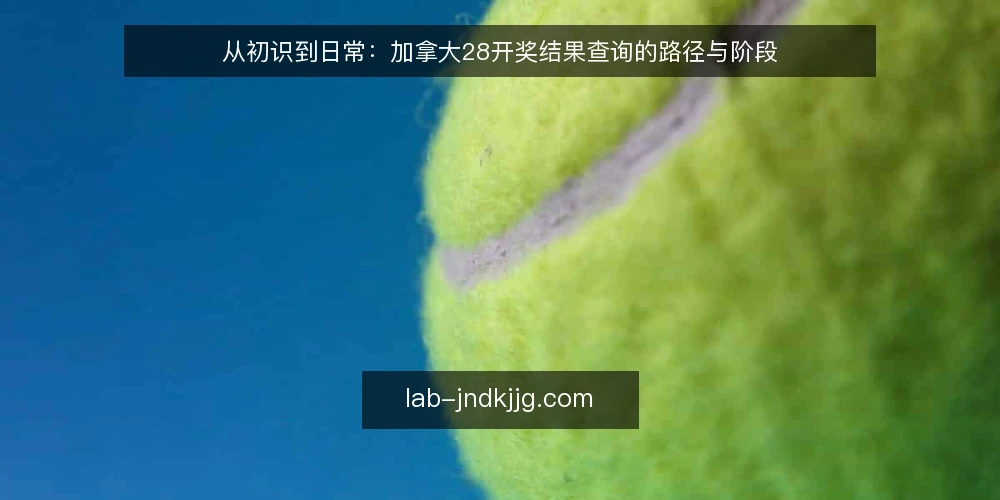 从初识到日常:加拿大28开奖结果查询的路径与阶段 — 起点:明确查询需求与信息边界 配图