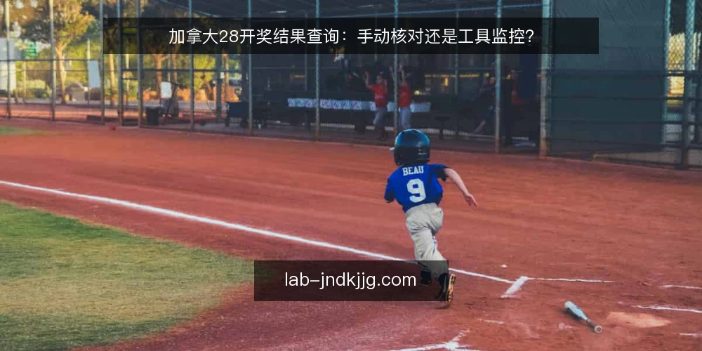 加拿大28开奖结果查询：手动核对还是工具监控？ — 明确查询需求与使用场景 配图