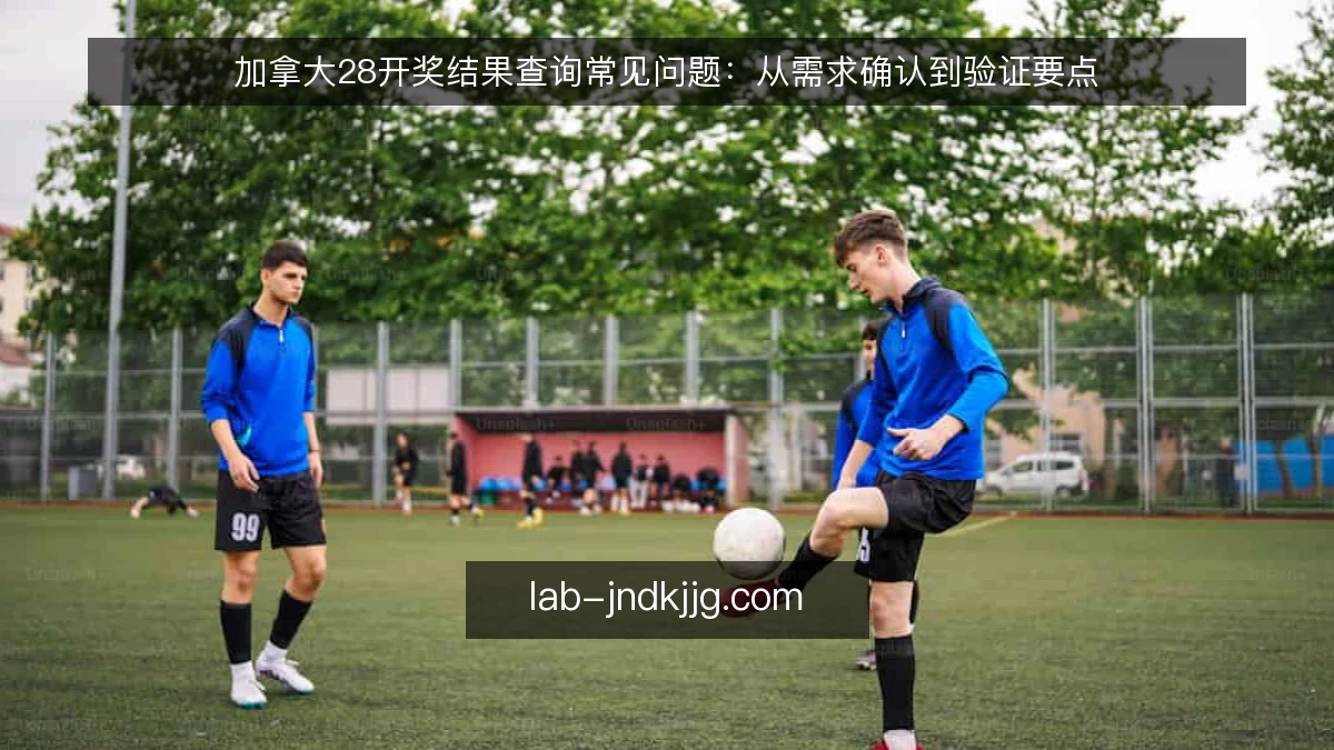 加拿大28开奖结果查询常见问题：从需求确认到验证要点