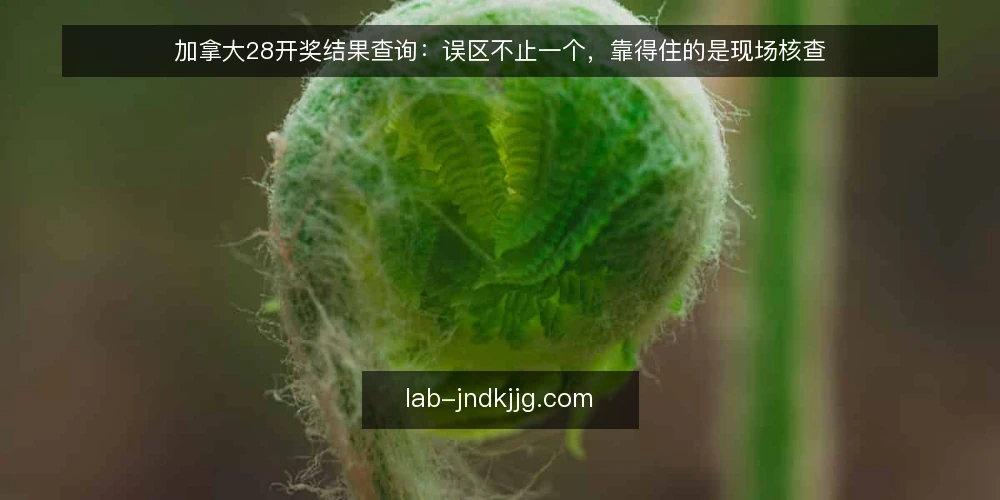 加拿大28开奖结果查询：误区不止一个，靠得住的是现场核查 — 现场要盯的信号：哪些数据值得记 配图