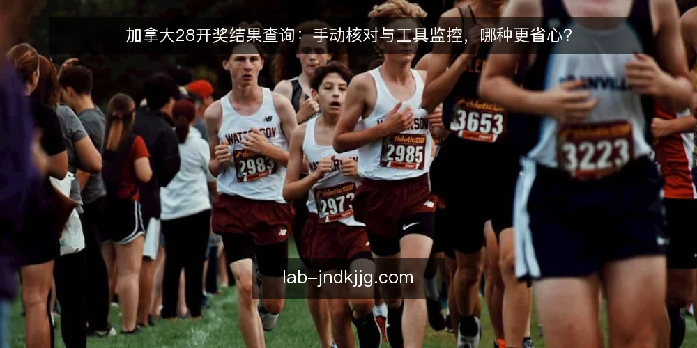 加拿大28开奖结果查询:手动核对与工具监控,哪种更省心? — 查询加拿大28开奖结果,你遇到过哪些麻烦? 配图
