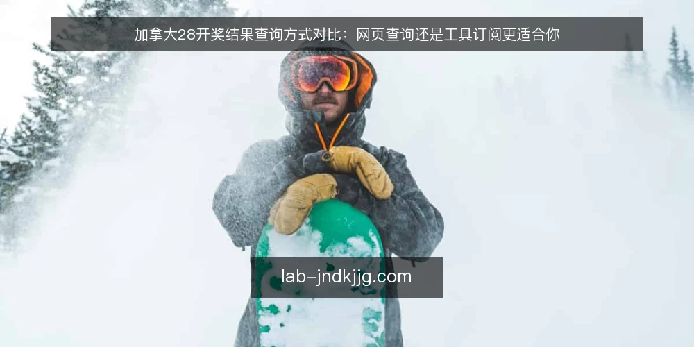 加拿大28开奖结果查询方式对比：网页查询还是工具订阅更适合你 — 先定评估标准：选查询方式前要问什么 配图