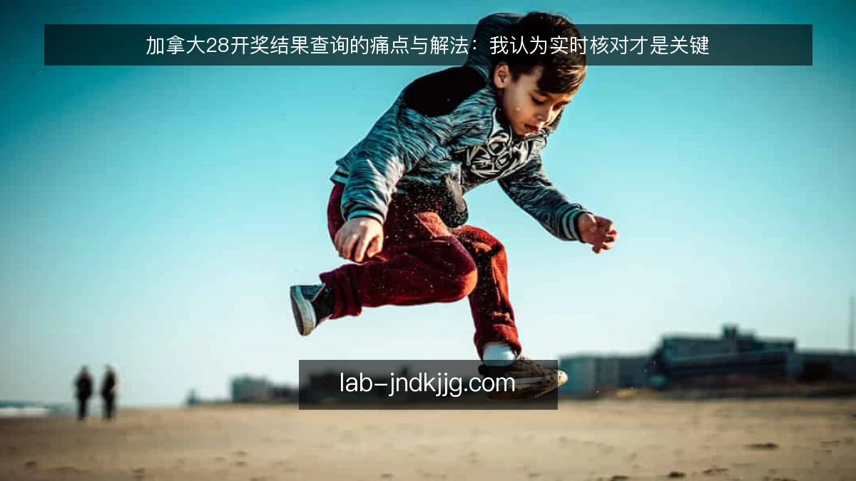 加拿大28开奖结果查询的痛点与解法：我认为实时核对才是关键