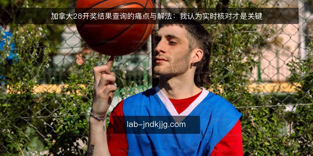 加拿大28开奖结果查询的痛点与解法：我认为实时核对才是关键 — 查询现状：延迟与信息差带来的操作困扰 配图
