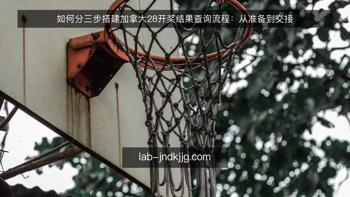 如何分三步搭建加拿大28开奖结果查询流程：从准备到交接