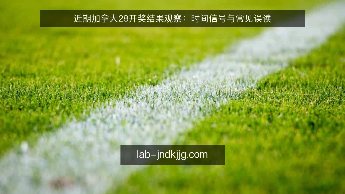 近期加拿大28开奖结果观察：时间信号与常见误读