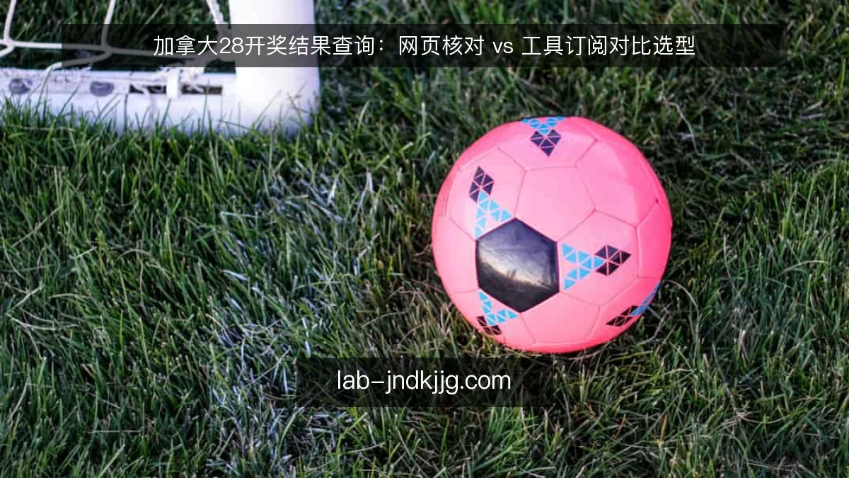 加拿大28开奖结果查询：网页核对 vs 工具订阅对比选型