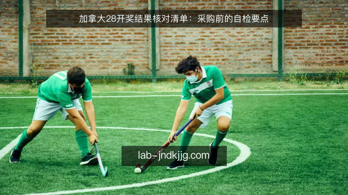 加拿大28开奖结果核对清单：采购前的自检要点